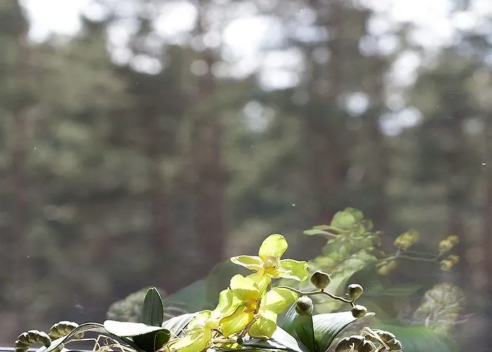 Karolina Park 3* Вільнюс